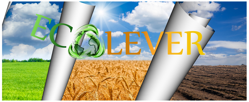 ecolever.it